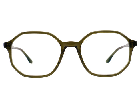 LT13 GEORGIA col.Saguaro