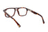 S112 CIGALE col.Tortoise