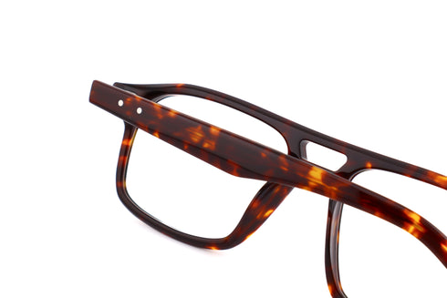 S112 CIGALE col.Tortoise