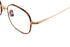 TT16 COVER GIRL col.Tortoise & Gold
