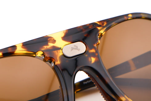 Kazu Tourer col.Tortoise / D+ Earth Vision