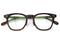 WRIGHT C col.HICKORY TORTOISE