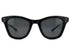 NATIVE SONS SX Hunter col.Black ネイティブサンズ キャットアイ サングラス 正面
