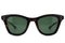 NATIVE SONS SX Hunter col.Gasoline ネイティブサンズ キャットアイ サングラス 正面