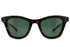NATIVE SONS SX Hunter col.Gasoline ネイティブサンズ キャットアイ サングラス 正面