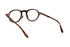 PETER AND MAY THE COOL KID col.Tortoiseピーターアンドメイ ザクールキッド べっ甲柄 ボストンシェイプ 眼鏡 背面