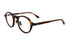 PETER AND MAY THE COOL KID col.Tortoiseピーターアンドメイ ザクールキッド べっ甲柄 ボストンシェイプ 眼鏡 側面