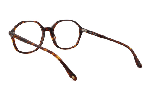 PETER AND MAY ピーターアンドメイ LT35 GRACE グレース col.Tortoise 眼鏡 サングラス ビッグシェイプ 多角形 背面画像