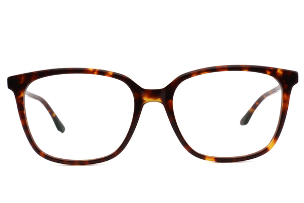 PETER AND MAY ピーターアンドメイ LT36 JOY ジョイ col.Tortoise 眼鏡 サングラス ビッグシェイプ スクエア 正面画像