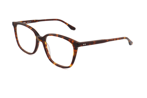 PETER AND MAY ピーターアンドメイ LT36 JOY ジョイ col.Tortoise 眼鏡 サングラス ビッグシェイプ スクエア 側面画像