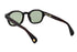 PETER AND MAY S121 NO DRAMA col.Dark Shell / Graphite Green ピーターアンドメイ ノードラマ PETERANDMAY NODRAMA サングラス 背面