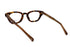 SAUVAGE(サヴァージュ) Lady Jane(レディジェーン)col.Brown Tortoise 眼鏡 サングラス セルフレーム キャットアイシェイプ べっ甲柄 背面画像